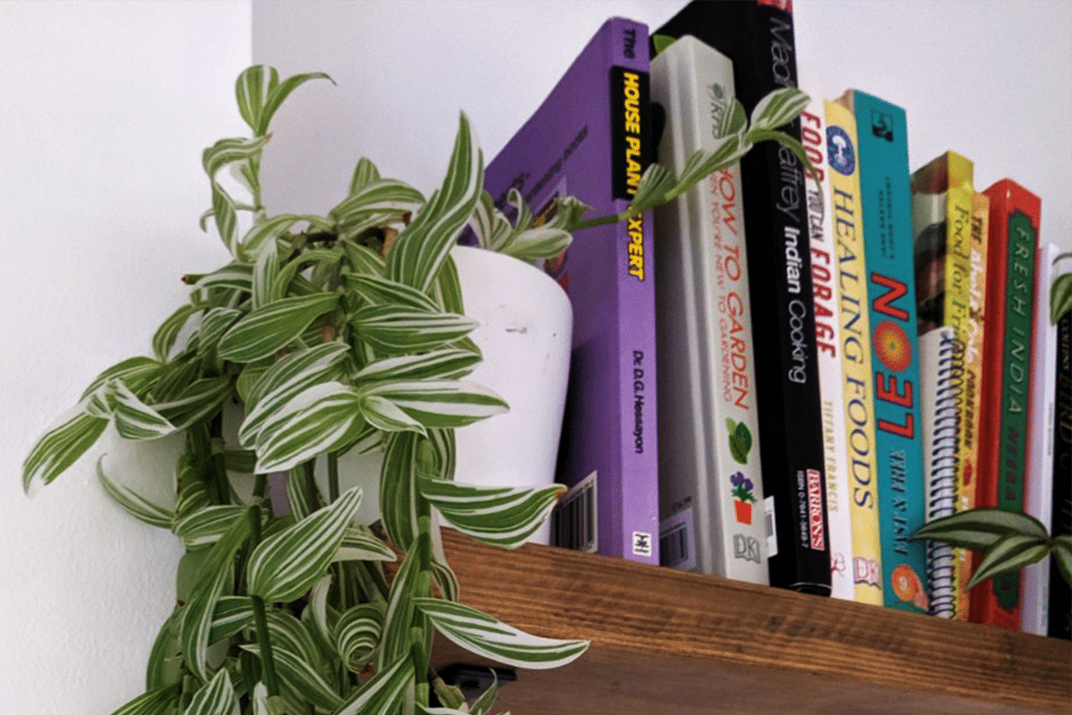 Houseplant books and podcasts