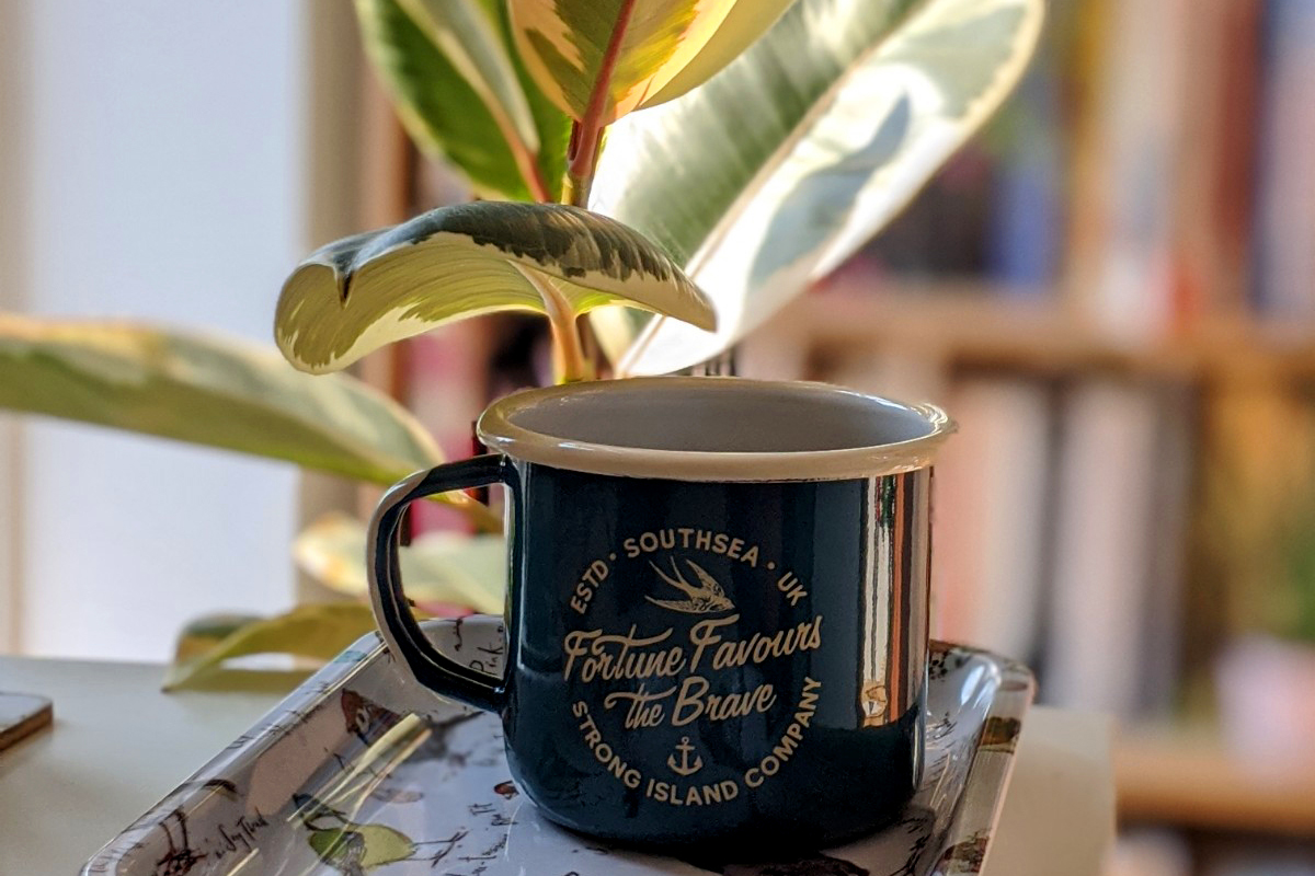 4 ways to make this #StayAtHome time better with houseplants